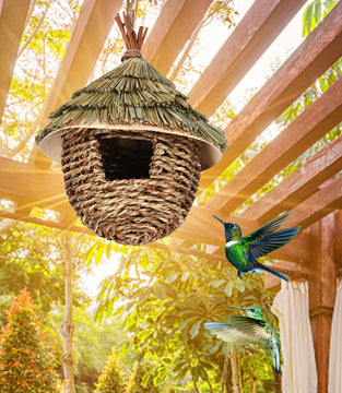 [pet_toys] - [cuddle_fur]