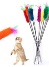 [pet_toys] - [cuddle_fur]