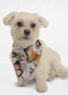 [pet_toys] - [cuddle_fur]
