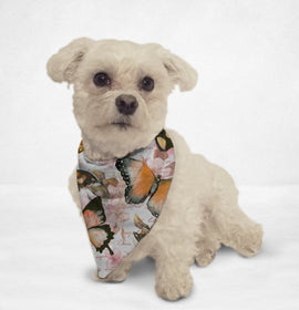 [pet_toys] - [cuddle_fur]