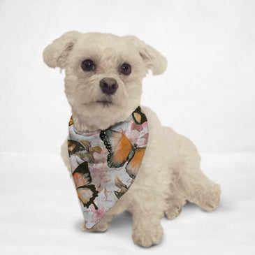 [pet_toys] - [cuddle_fur]