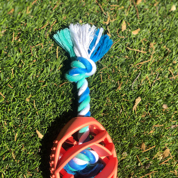 [pet_toys] - [cuddle_fur]