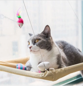 [pet_toys] - [cuddle_fur]