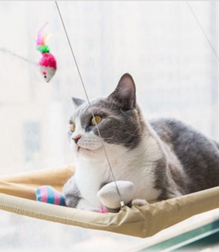 [pet_toys] - [cuddle_fur]