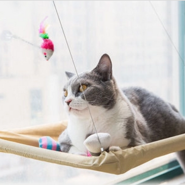 [pet_toys] - [cuddle_fur]